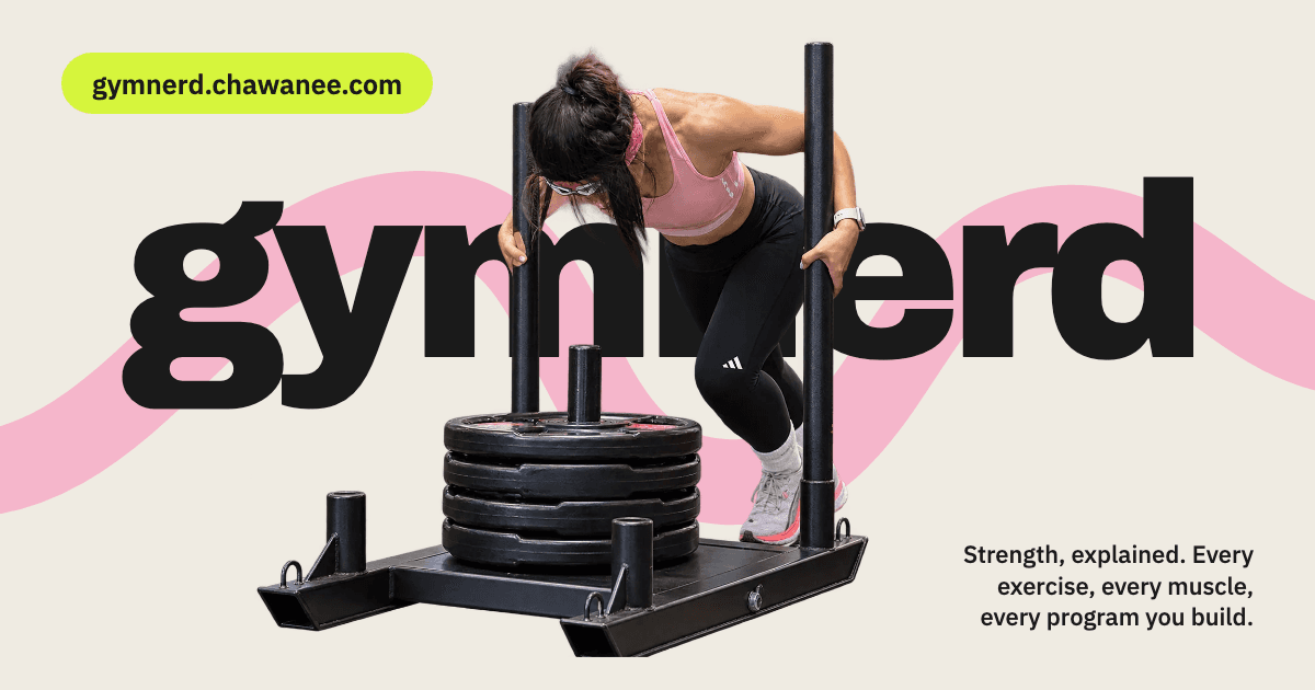 gymnerd — Anatomy Navigator, deltoids highlighted on the muscle figure